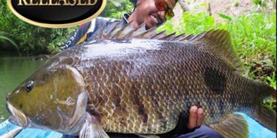 freshwater snapper world record.jpg